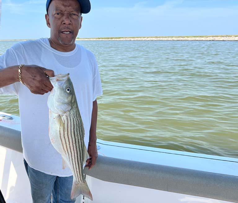 rockfish caught in the upper chesapeake bay