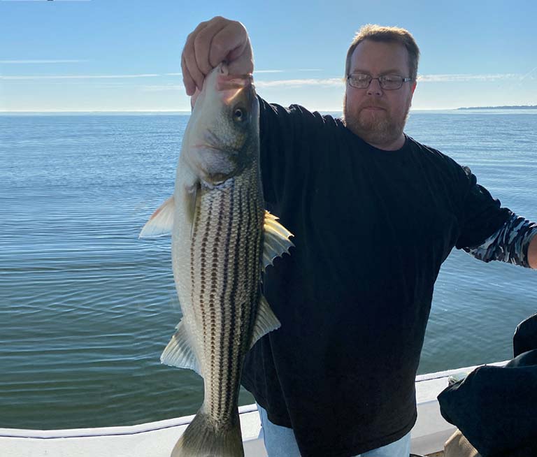 eastern shore striped bass